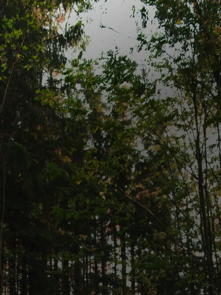 Kamu Outdoors - Löydä kestävät ulkoilu- ja retkeilyvarusteet